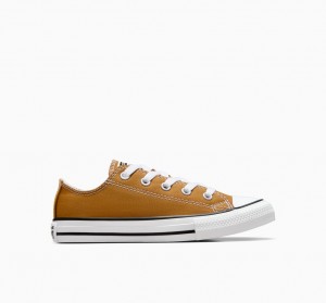 Converse Chuck Taylor All Star Excess Materials Donkerwit Zwart | 341290SDW