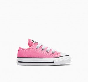 Converse Chuck Taylor All Star Roze | 816325WAT