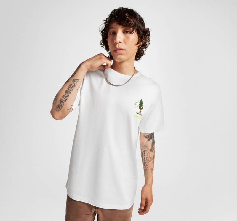 Converse All Star Tree T-shirt Wit | 290385UZE