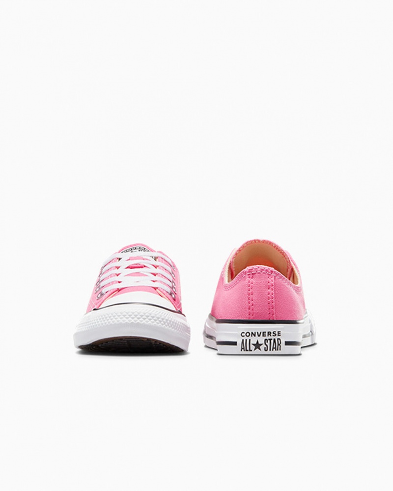 Converse Chuck Taylor All Star Roze | 430681HTQ