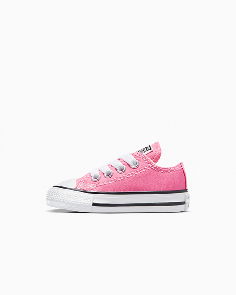 Converse Chuck Taylor All Star Roze | 816325WAT