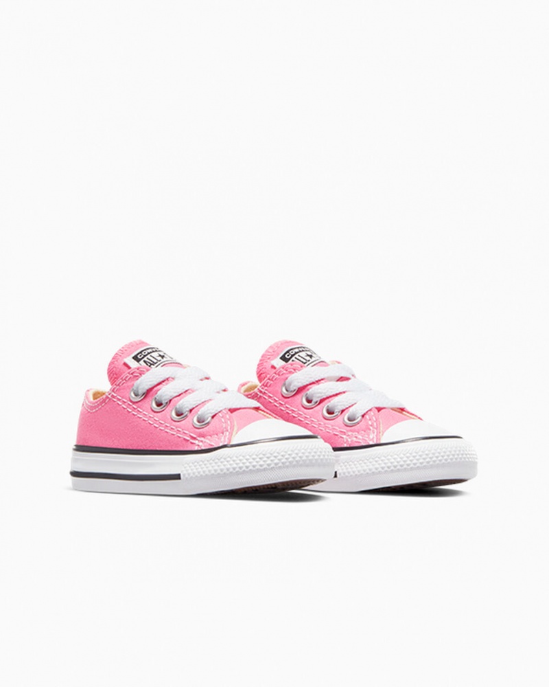 Converse Chuck Taylor All Star Roze | 816325WAT