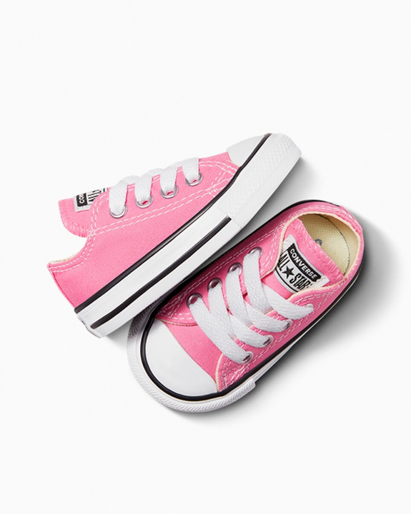 Converse Chuck Taylor All Star Roze | 816325WAT