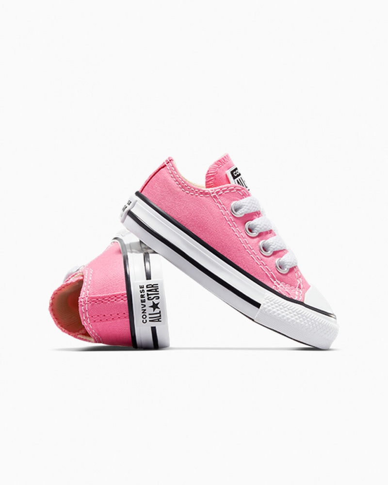 Converse Chuck Taylor All Star Roze | 816325WAT