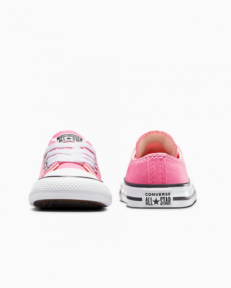 Converse Chuck Taylor All Star Roze | 816325WAT