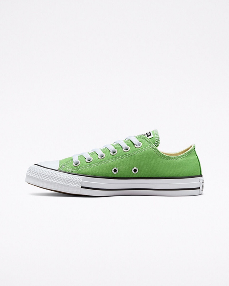 Converse Chuck Taylor All Star Seasonal Color Virtual Matcha | 318209IXN