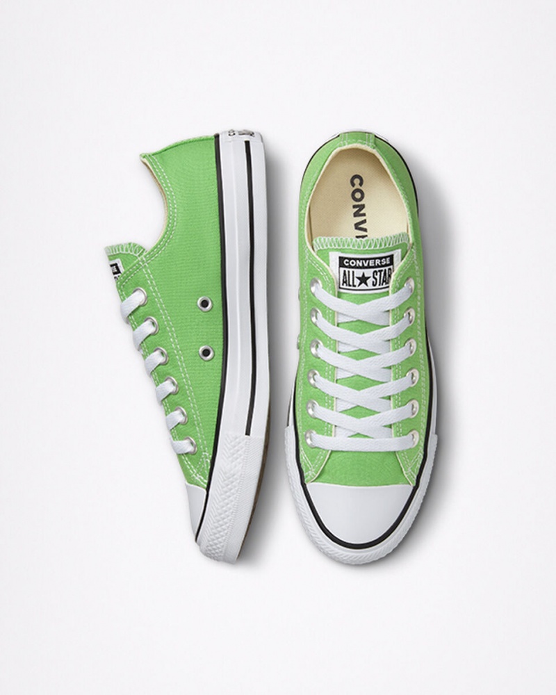 Converse Chuck Taylor All Star Seasonal Color Virtual Matcha | 318209IXN