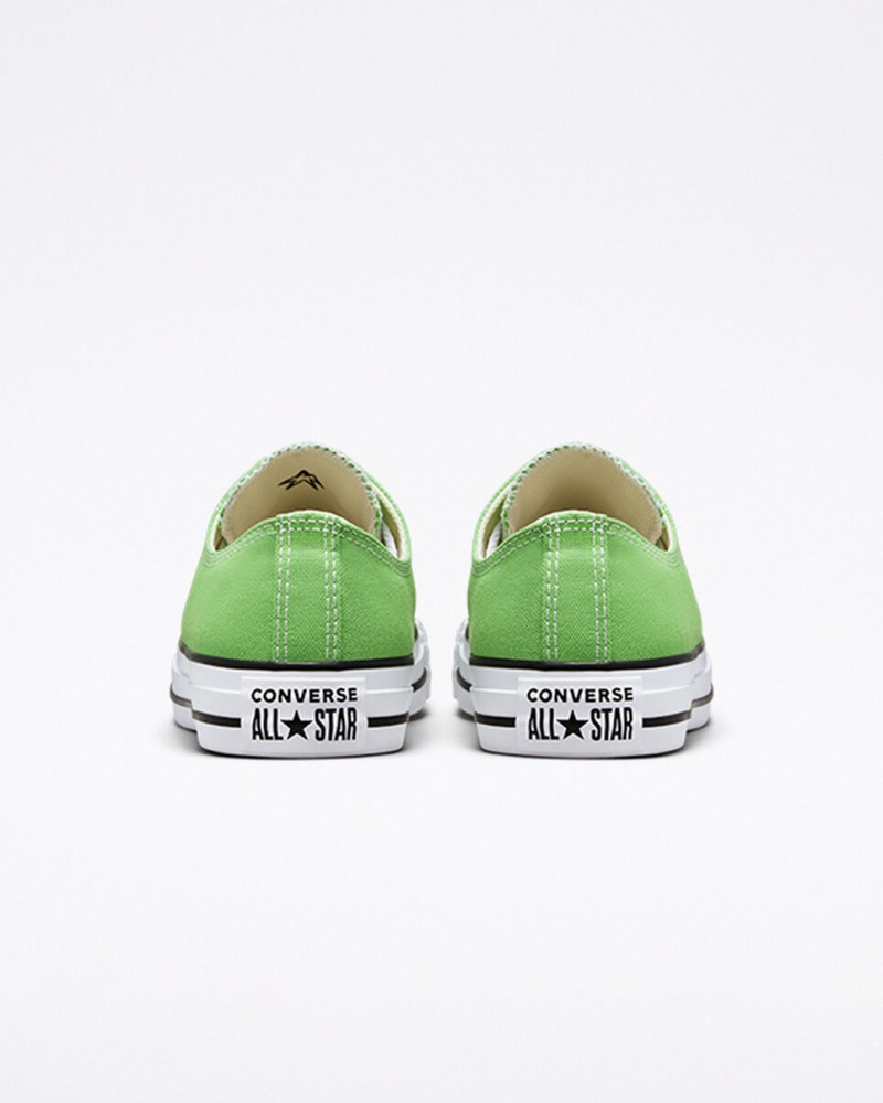 Converse Chuck Taylor All Star Seasonal Color Virtual Matcha | 318209IXN