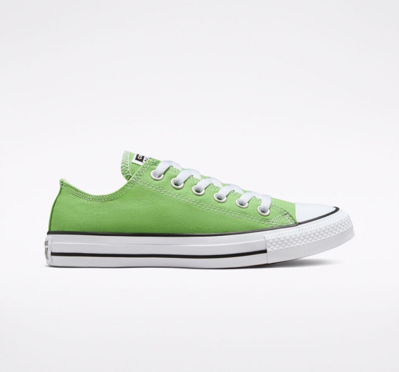 Converse Chuck Taylor All Star Seasonal Color Virtual Matcha | 318209IXN