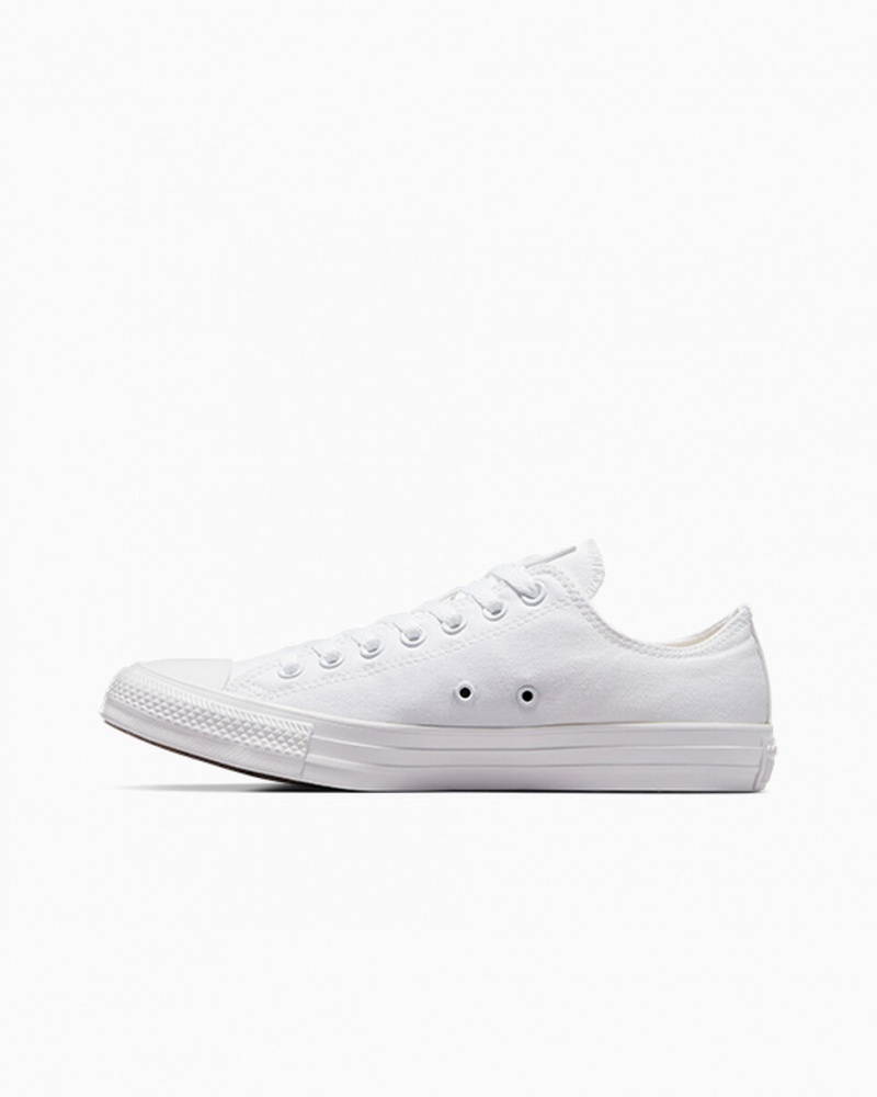 Converse Chuck Taylor All Star Wit | 651048UPZ