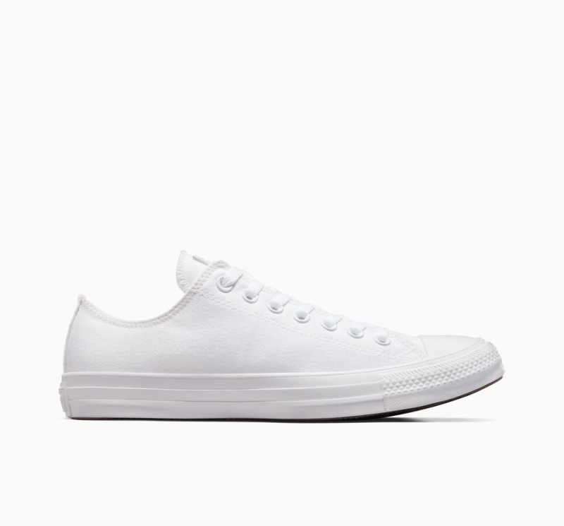 Converse Chuck Taylor All Star Wit | 651048UPZ